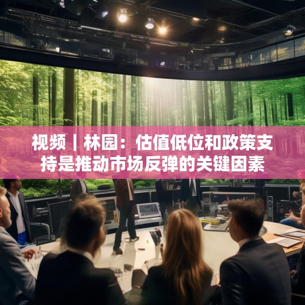 视频｜林园：估值低位和政策支持是推动市场反弹的关键因素