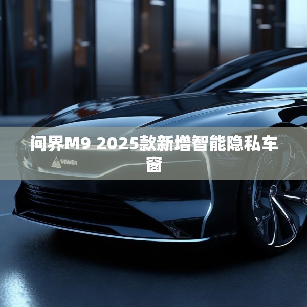 问界M9 2025款新增智能隐私车窗