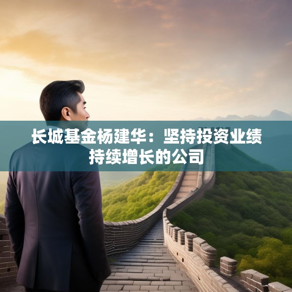 长城基金杨建华：坚持投资业绩持续增长的公司