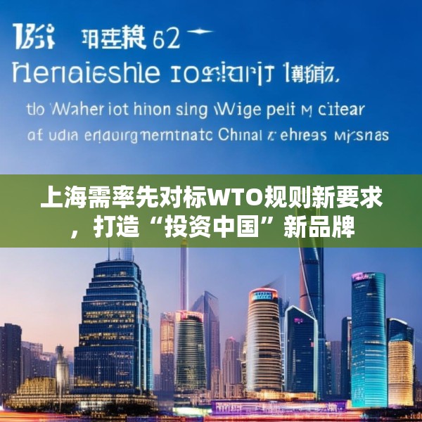 上海需率先对标WTO规则新要求，打造“投资中国”新品牌