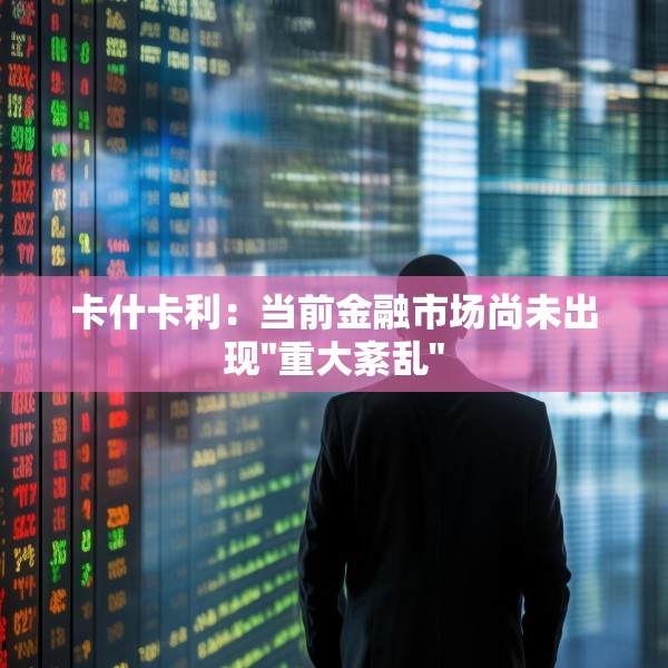 卡什卡利：当前金融市场尚未出现