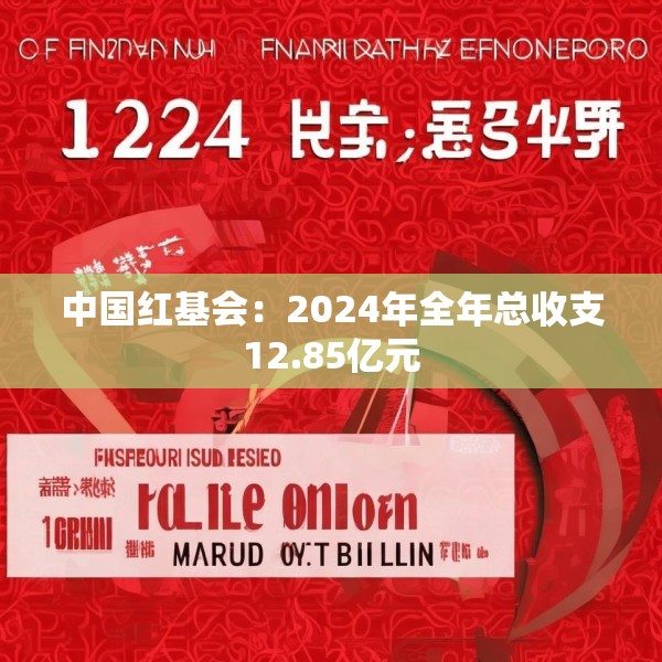 中国红基会：2024年全年总收支12.85亿元