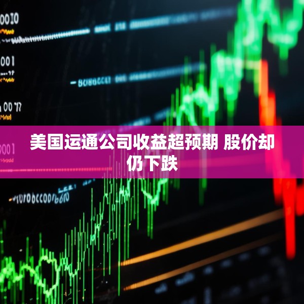 美国运通公司收益超预期 股价却仍下跌