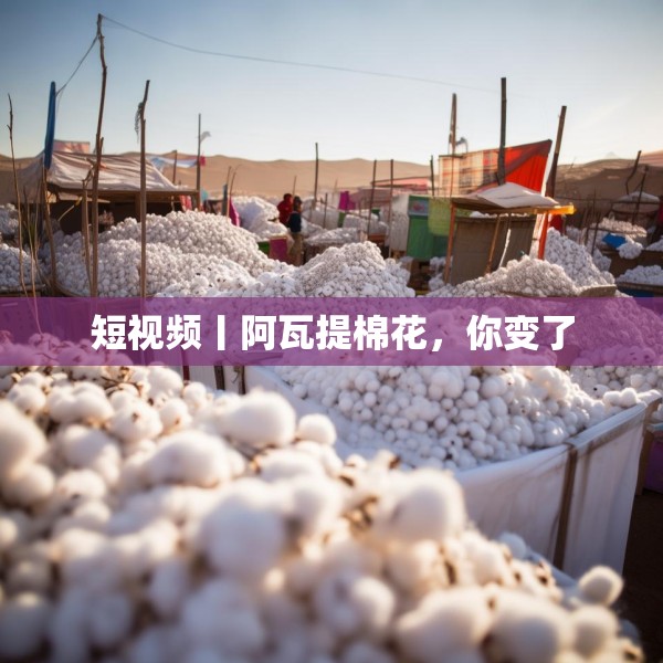 短视频丨阿瓦提棉花，你变了