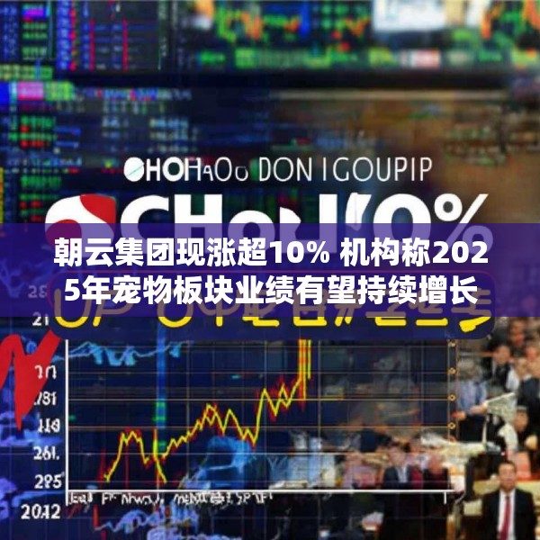 朝云集团现涨超10% 机构称2025年宠物板块业绩有望持续增长