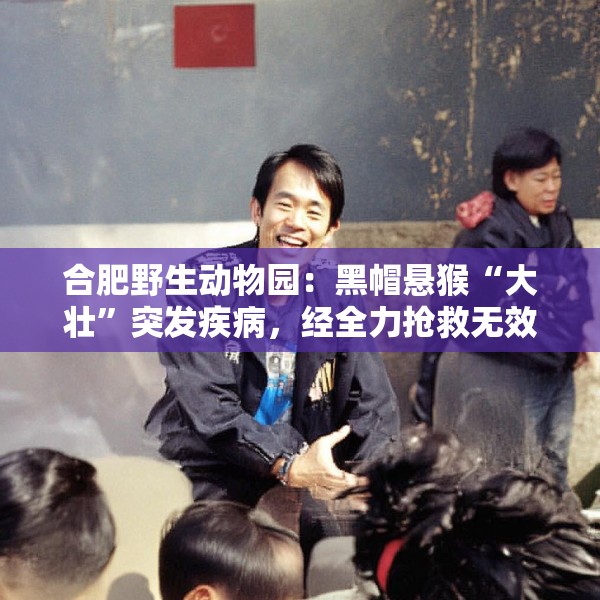 合肥野生动物园：黑帽悬猴“大壮”突发疾病，经全力抢救无效离世