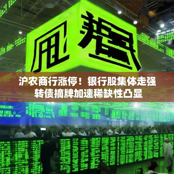 沪农商行涨停！银行股集体走强 转债摘牌加速稀缺性凸显