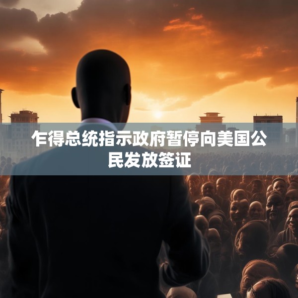 乍得总统指示政府暂停向美国公民发放签证