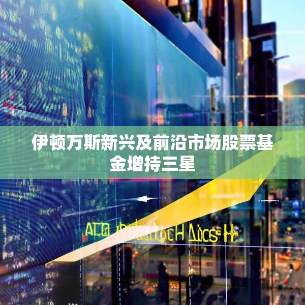 伊顿万斯新兴及前沿市场股票基金增持三星