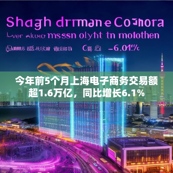 今年前5个月上海电子商务交易额超1.6万亿，同比增长6.1%