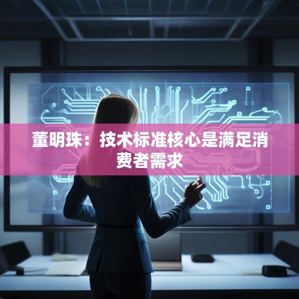 董明珠：技术标准核心是满足消费者需求
